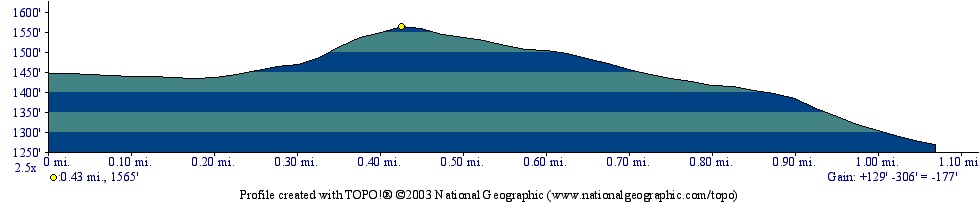 Langenau Forest Elevation